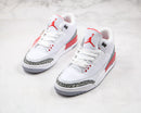 Jordan 3 Retro Hall of Fame
